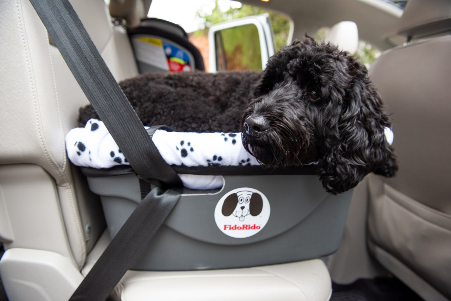 Black mini doodle dog with head rested on paw laying down in Fido Pet Products' FidoRido dog car seat with black paw prints on white fleece cover installed in back passenger seat of car with beige interior.