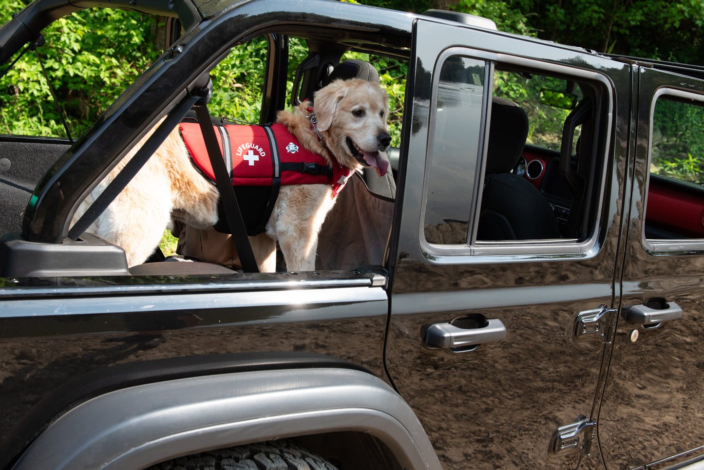 Golden Retriever wearing a large red lifeguard neoprene life vest for dogs. The Paws Aboard brand life jacket from Fido Pet Products features a lifeguard logo, reflective strips, rescue handle, and leash clip. Dog is standing in the back of a black open jeep with lush green riverbank.
