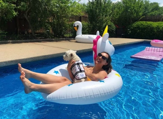West Highland Terrier wearing a Nautical dog life jacket with breathable mesh underbelly, reflective straps for high visibility, leash clip, and a top handle. Featuring Paws Aboard logo. Dog is held by woman floating on a fun raft in swimming pool.