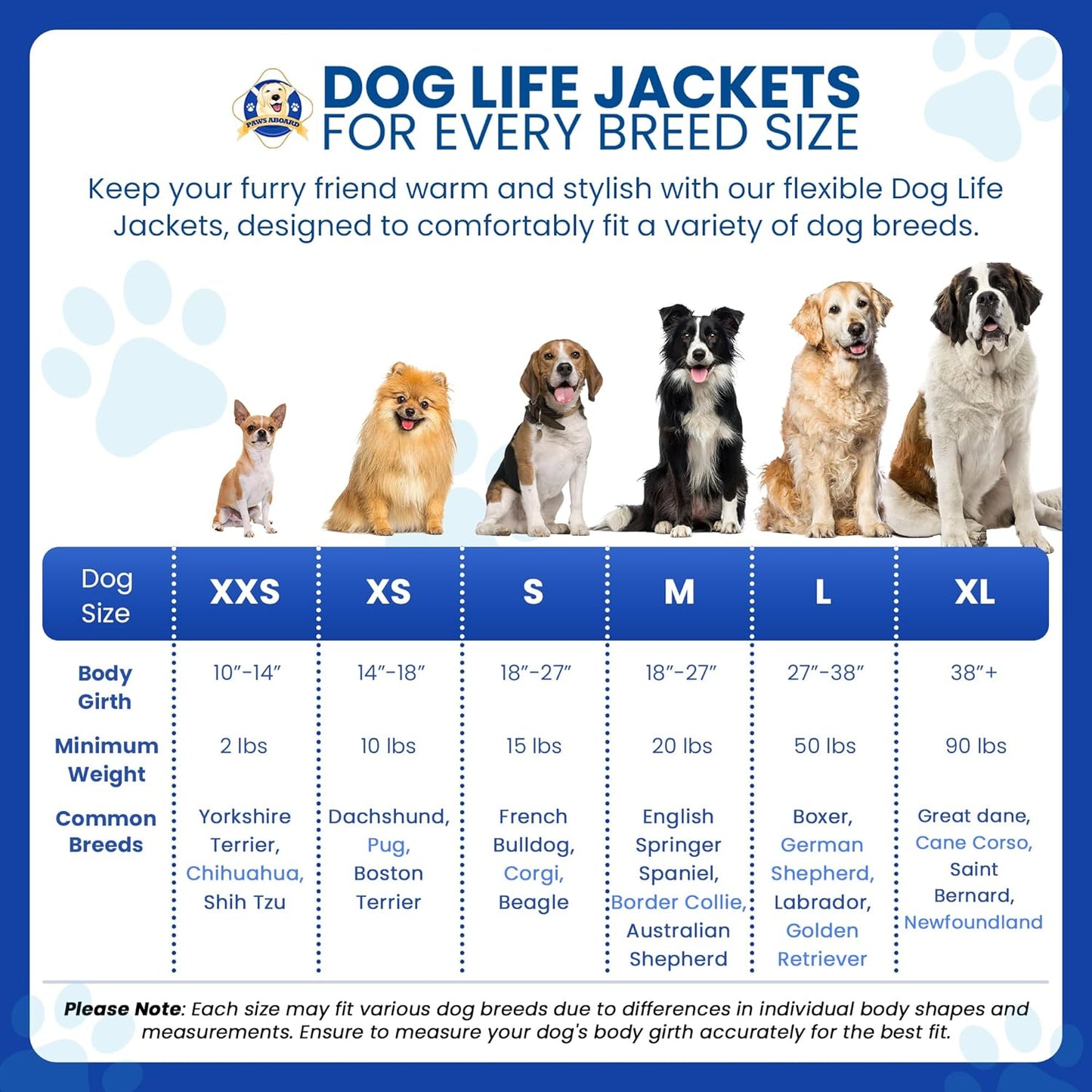 CLEARANCE Lifeguard Neoprene Dog Life Jacket