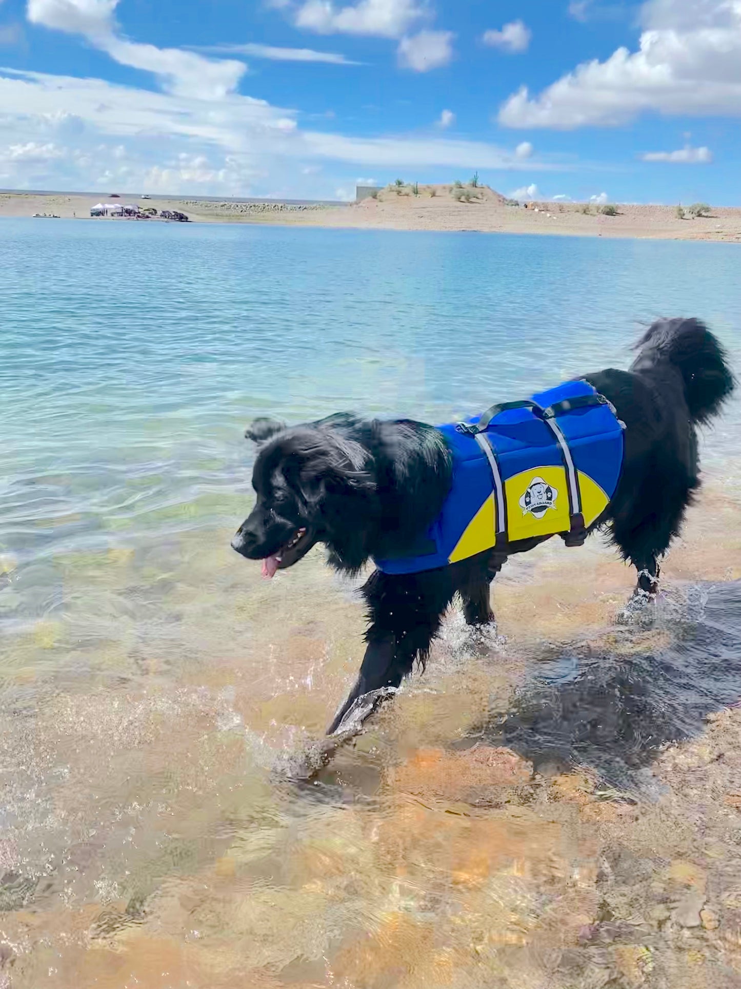 CLEARANCE Blue/Yellow Neoprene Dog Life Jacket