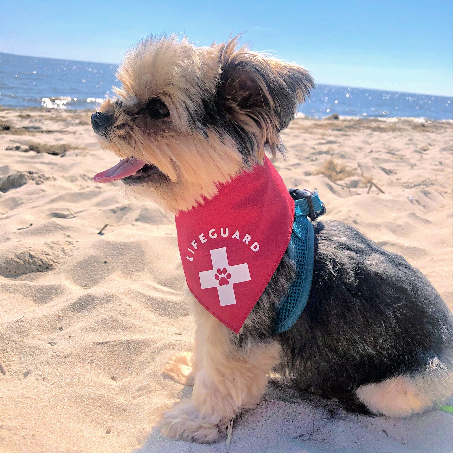 Fido Lifeguard Bandana