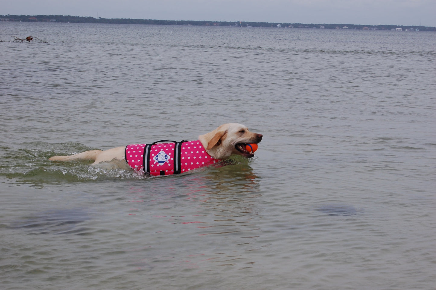 CLEARANCE Pink Polka Dot Dog Life Jacket