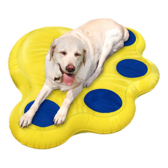 Labrador on one of Fido Pet Products yellow and blue dog pool floats.
