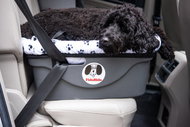 Paws Aboard