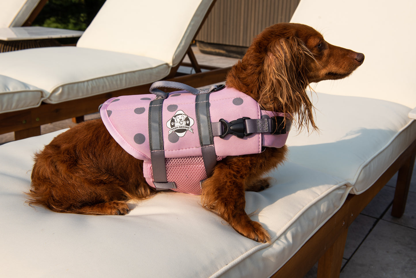 Long haired Dachshund dog on pool lounge chair wearing a soft pink with grey polka dot dog life jacket with breathable mesh underbelly, reflective straps for high visibility, leash clip, and a top handle. Featuring Paws Aboard logo.
