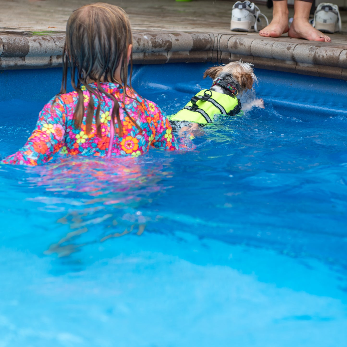 Little girl and little Yorkie swimming in pool wearing a Safety yellow dog life jacket with breathable mesh underbelly, reflective straps for high visibility, leash clip, and a top handle. Featuring Paws Aboard logo.