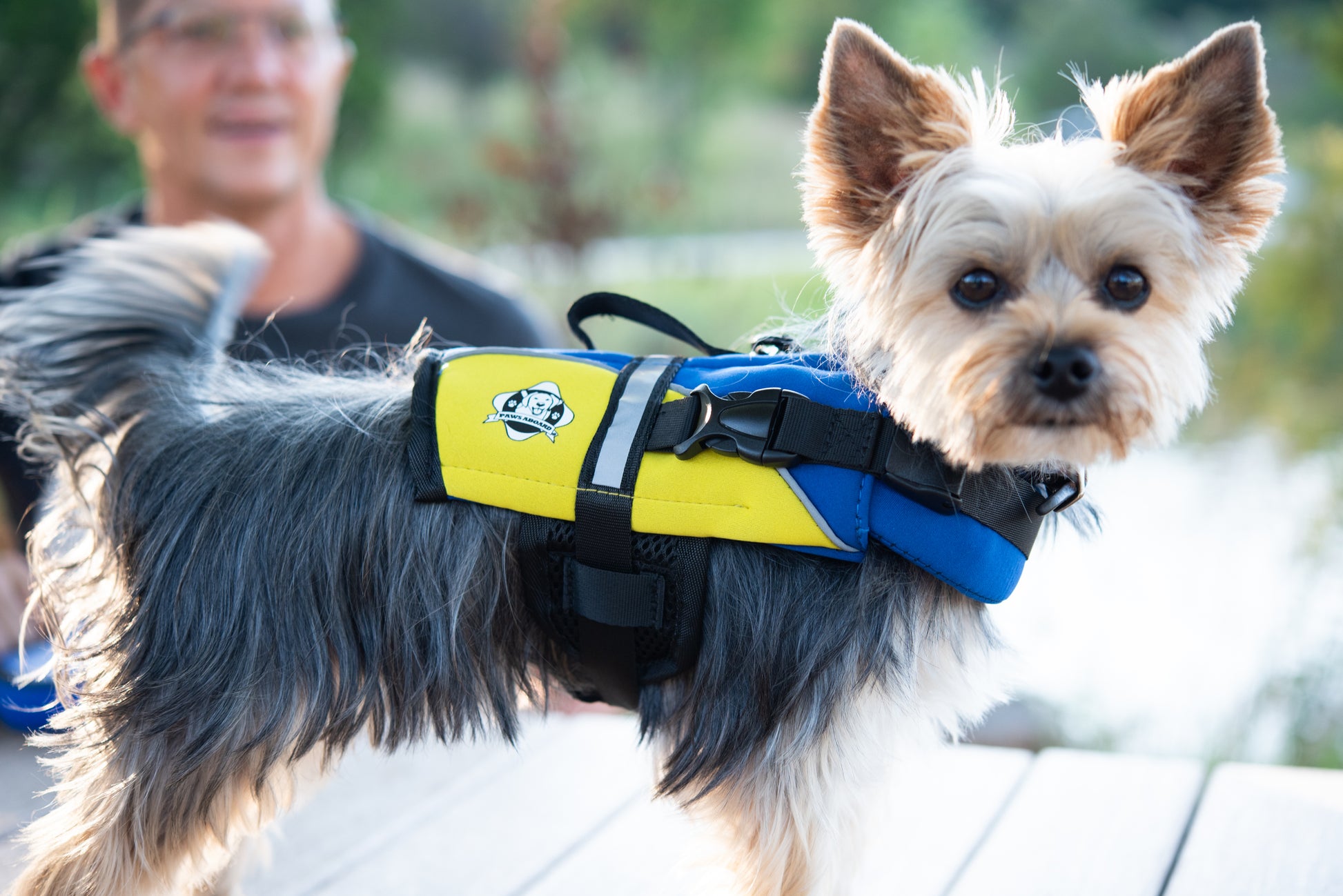 Buoyancy Aid Small Dog Life Jackets Outward Hound Dog Dog Life
