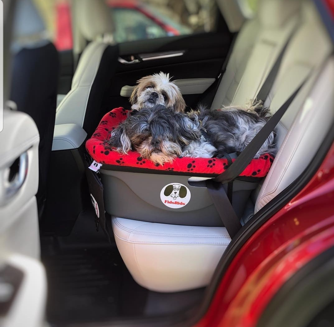 Two small dogs laying comfortably in their FidoRido dog car seat with a red fleece cover with black paw prints.  Pet car seat is grey hard-sided plastic with FidoRido logo on side and secured in the back driver side seat of a red vehicle with light grey interior.