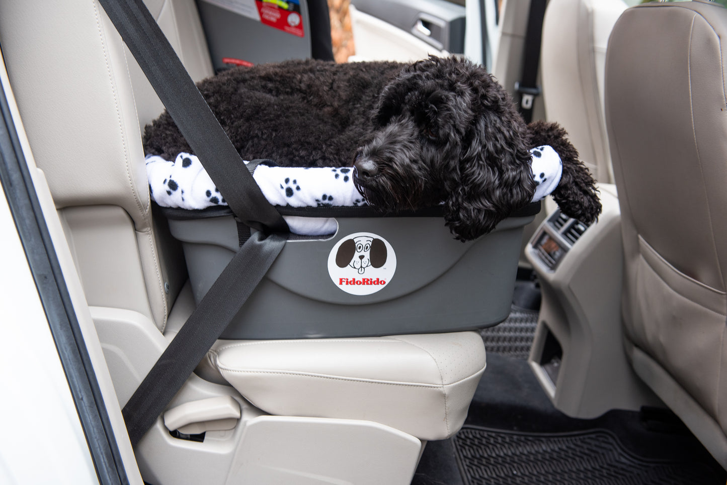 Black mini doodle dog resting comfortably with head on paw in Fido Pet Products' FidoRido pet car seat with black paw prints on white fleece covered seat installed in back seat of car with beige interior and grey seat belt.