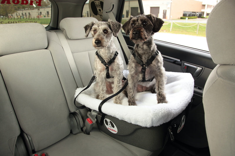 CLEARANCE FidoRido Pet Car Seat