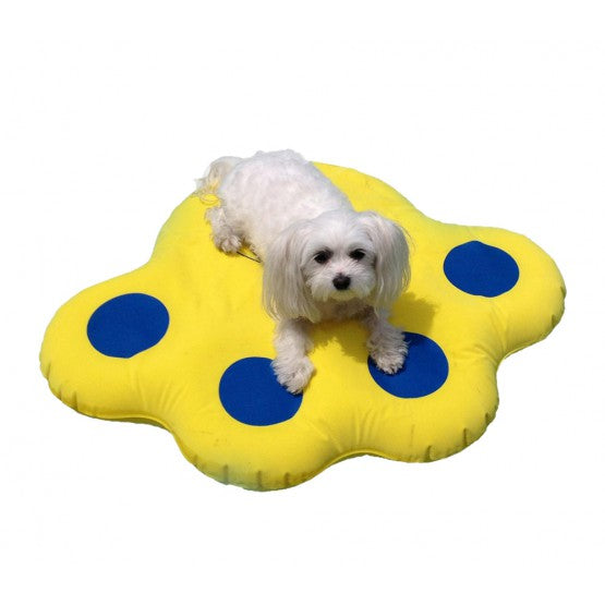 Small white Havanese dog on one of Fido Pet Products yellow and blue dog pool floats.