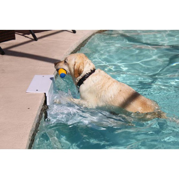 Pool Pup Steps